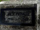 image of grave number 146046